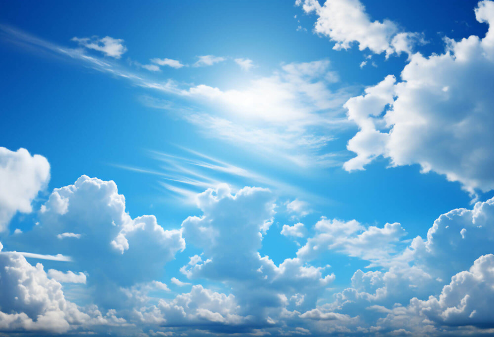 elemental life air scalemaxwidthwzewmdbd