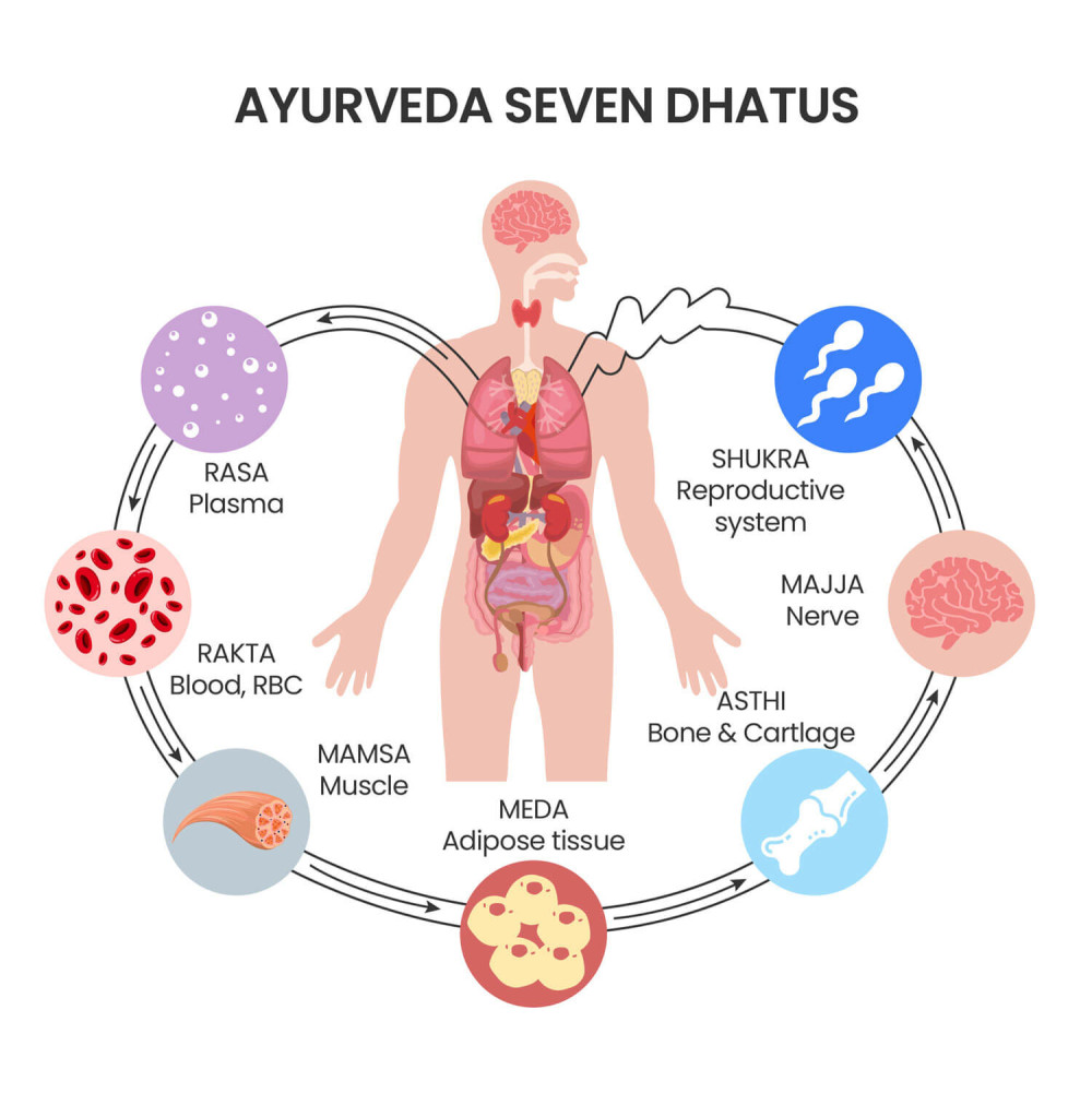elemental life seven dhatus scalemaxwidthwzewmdbd