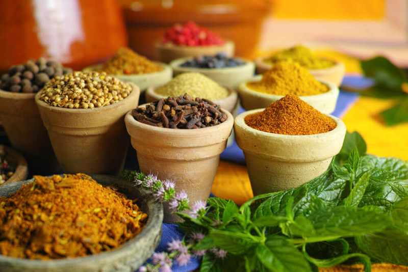 elemental life spices scalemaxwidthwzgwmf0